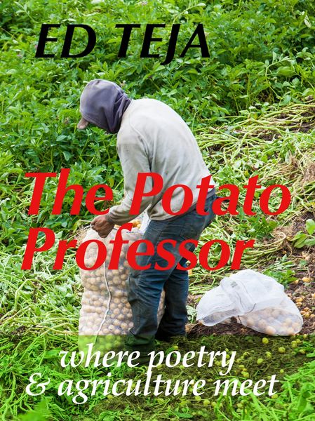 Produktbild: The Potato Professor