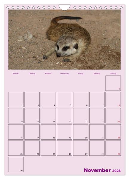 Produktbild: Erdm&auml;nnchen / Terminplaner (Wandkalender 2026 DIN A4 hoch), CALVENDO Monatskalender