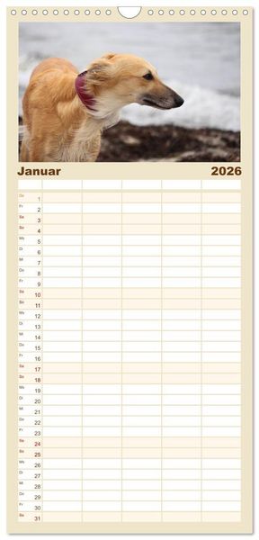 Produktbild: Familienplaner 2026 - Der Silken Windsprite - ein Seelenhund mit 5 Spalten (Wandkalender, 21 x 45 cm) CALVENDO