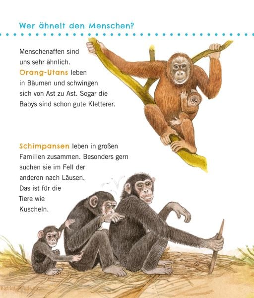 Produktbild: Unkaputtbar: Erstes Wissen: Gro&szlig;e Tiere