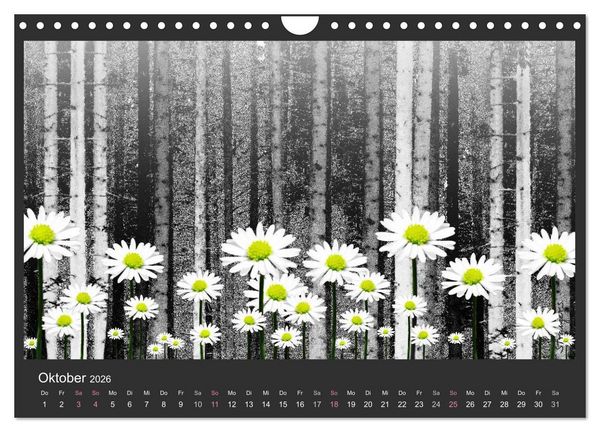 Produktbild: Schwarzwald. Anders. (Wandkalender 2026 DIN A4 quer), CALVENDO Monatskalender