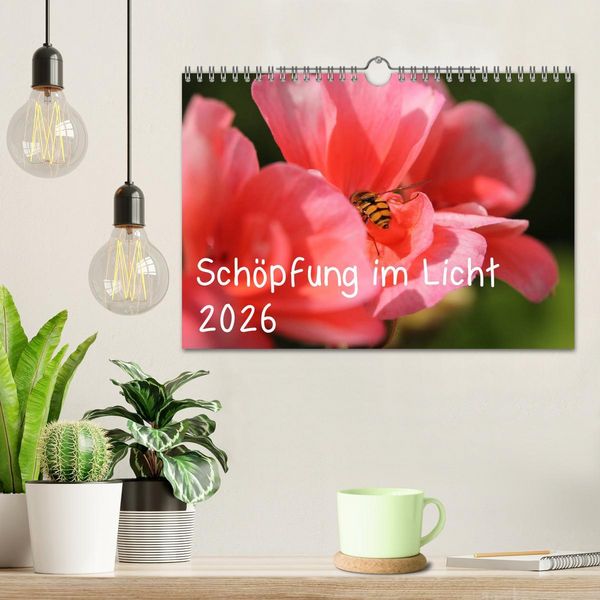 Produktbild: Sch&ouml;pfung im Licht (Wandkalender 2026 DIN A4 quer), CALVENDO Monatskalender