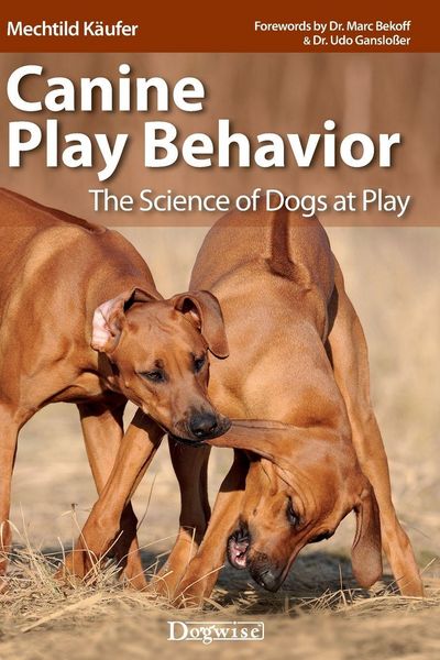Produktbild: Canine Play Behavior