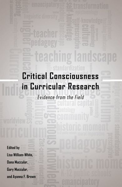 Produktbild: Critical Consciousness in Curricular Research