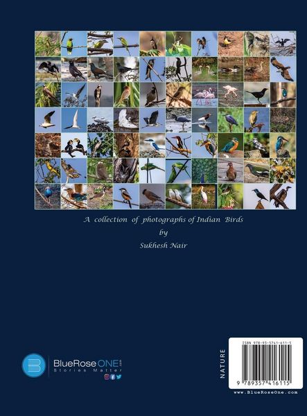 Produktbild: Birds in Focus Captivating Photography of Feathered Friends