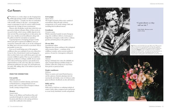 Produktbild: Collins Botanical Bible