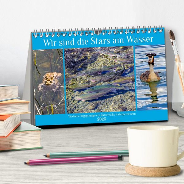 Produktbild: Wir sind die Stars am Wasser (Tischkalender 2026 DIN A5 quer), CALVENDO Monatskalender