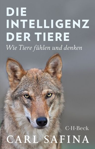 Produktbild: Die Intelligenz der Tiere