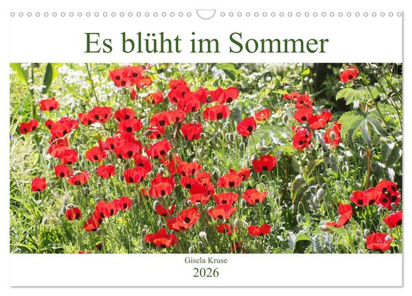 Produktbild: Es bl&uuml;ht im Sommer (Wandkalender 2026 DIN A3 quer), CALVENDO Monatskalender