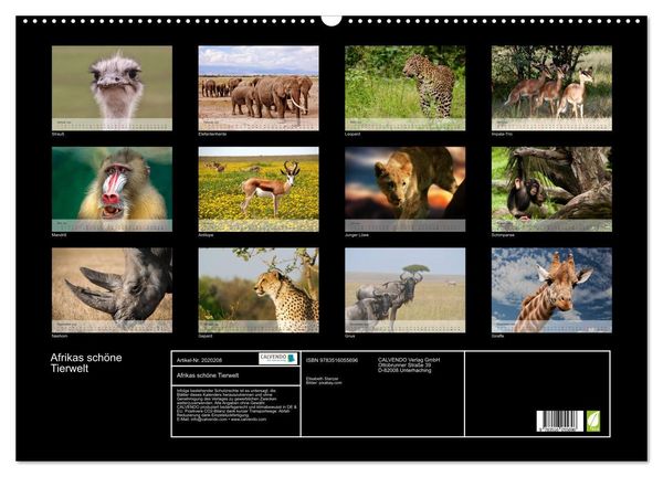 Produktbild: Afrikas sch&ouml;ne Tierwelt (Wandkalender 2026 DIN A2 quer), CALVENDO Monatskalender