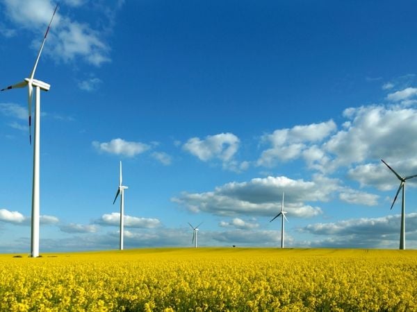Produktbild: CALVENDO Puzzle Ein Motiv aus dem Kalender Energie - erneuerbar - Biomasse 1000 Teile Puzzle quer | 1000 Teile Lege-Gr&ouml;&szlig;e 64 &times; 48 cm Foto-Puzzle f&uuml;r gl&uuml;ckliche Stunden