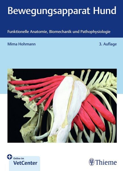 Produktbild: Bewegungsapparat Hund