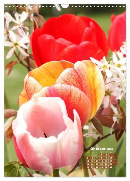 Produktbild: Ein buntes Tulpenjahr (Wandkalender 2026 DIN A3 hoch), CALVENDO Monatskalender