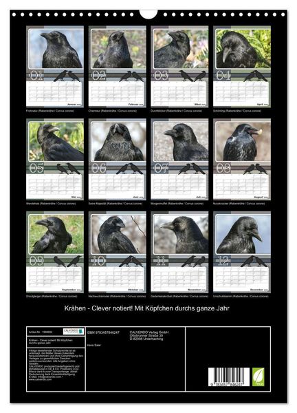 Produktbild: Kr&auml;hen - Clever notiert! Mit K&ouml;pfchen durchs ganze Jahr (Wandkalender 2026 DIN A3 hoch), CALVENDO Monatskalender