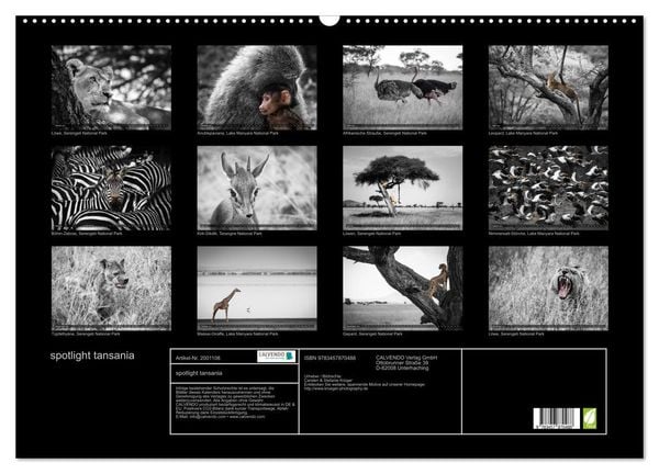 Produktbild: spotlight tansania (Wandkalender 2026 DIN A2 quer), CALVENDO Monatskalender
