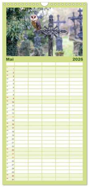 Produktbild: Familienplaner 2026 - Europas Greifv&ouml;gel und Eulen mit 5 Spalten (Wandkalender, 21 x 45 cm) CALVENDO