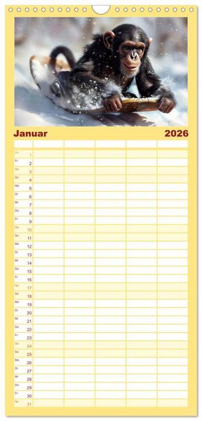 Produktbild: Familienplaner 2026 - Schimpansen - Ein Jahr mit Menschenaffen. mit 5 Spalten (Wandkalender, 21 x 45 cm) CALVENDO