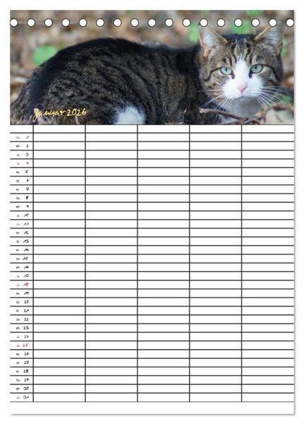Produktbild: Bauernhoftiere Familienplaner (Tischkalender 2026 DIN A5 hoch), CALVENDO Monatskalender
