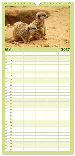 Produktbild: Familienplaner 2027 - Kleine Schelme - Tierbabys mit 5 Spalten (Wandkalender, 21 x 45 cm) CALVENDO