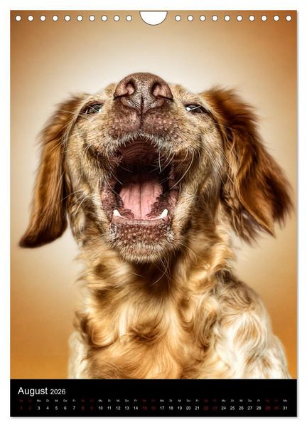 Produktbild: Funny Faces - Lustige Hundebilder (Wandkalender 2026 DIN A4 hoch), CALVENDO Monatskalender