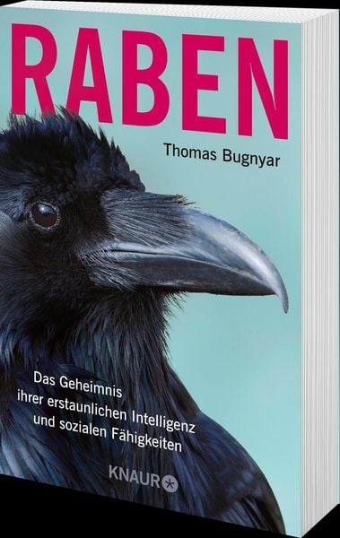 Raben