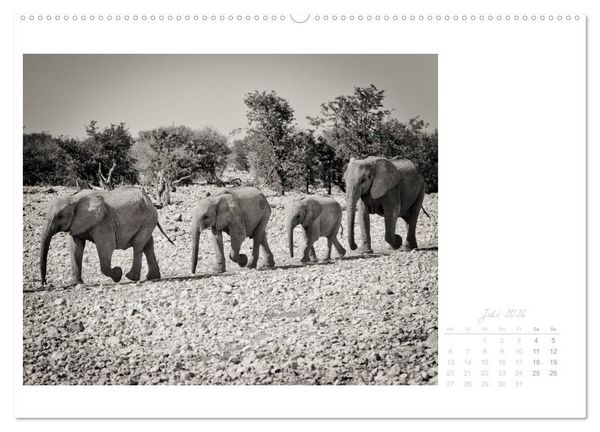 Produktbild: Elefanten in Etosha (Wandkalender 2026 DIN A2 quer), CALVENDO Monatskalender