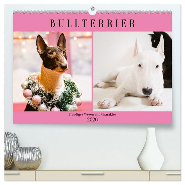 Bullterrier. Freudiges Wesen und Charakter (hochwertiger Premium Wandkalender 2026 DIN A2 quer), Kunstdruck in Hochglanz