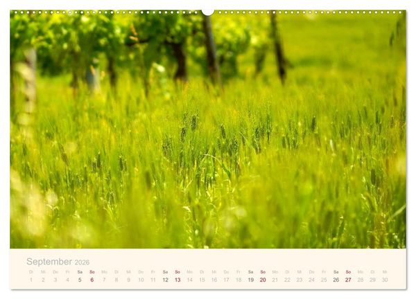 Produktbild: Unterwegs in den Marken (Wandkalender 2026 DIN A2 quer), CALVENDO Monatskalender