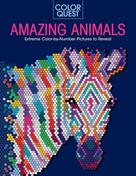 Produktbild: Color Quest: Amazing Animals