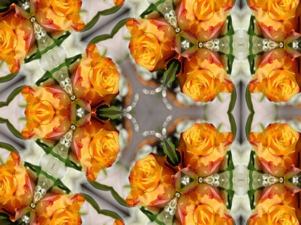 Produktbild: CALVENDO Puzzle Rosentrio 1000 Teile Lege-Gr&ouml;&szlig;e 640 x 480 cm Foto-Puzzle Bild von Sabine Hampe-Neves