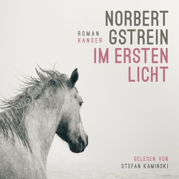 Produktbild: Im ersten Licht