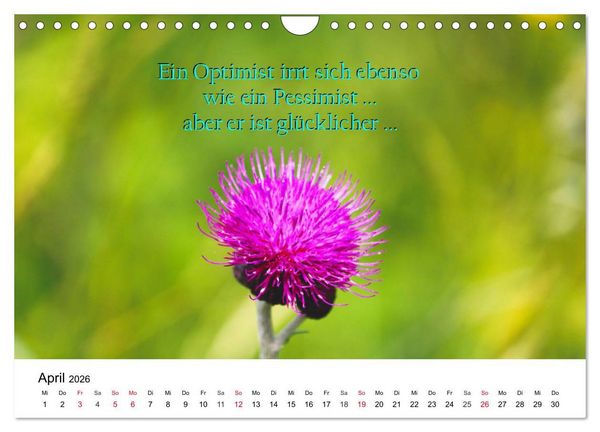 Produktbild: Lebensweisheiten 2026 (Wandkalender 2026 DIN A4 quer), CALVENDO Monatskalender