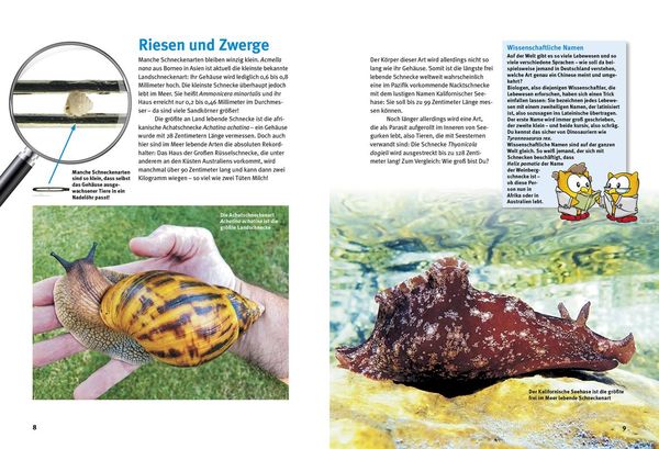 Produktbild: Entdecke die Schnecken