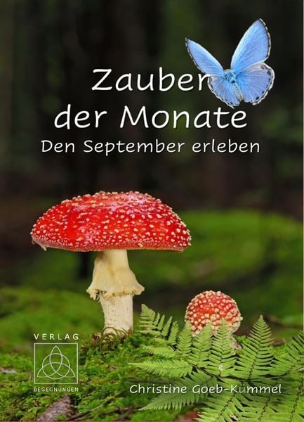 Produktbild: Zauber der Monate