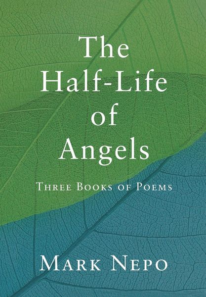 Produktbild: The Half-Life of Angels