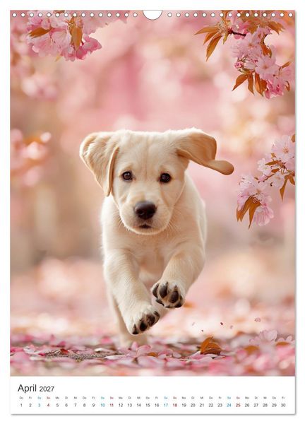 Produktbild: Mein Jahr mit Labradoren (Wandkalender 2027 DIN A3 hoch), CALVENDO Monatskalender