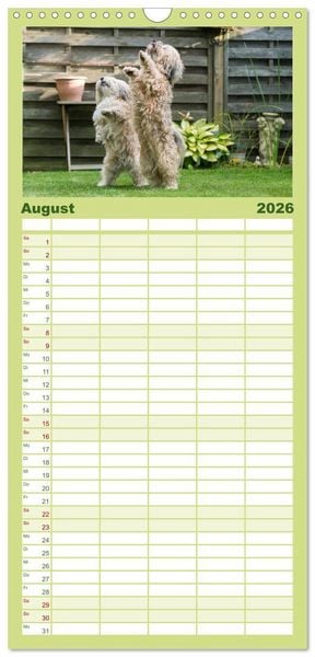 Produktbild: Familienplaner 2026 - Spa&szlig; mit Havanesern mit 5 Spalten (Wandkalender, 21 x 45 cm) CALVENDO