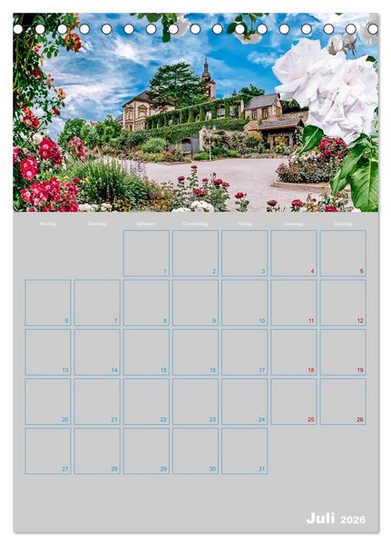Produktbild: ELTVILLE &ndash; Wein-, Sekt- und Rosenstadt am Rhein (Tischkalender 2026 DIN A5 hoch), CALVENDO Monatskalender