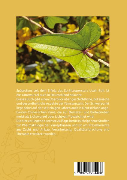 Produktbild: Die Chinesische Yams Dioscorea batatas