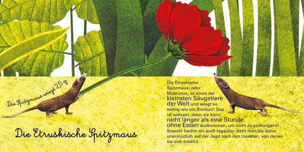Produktbild: Das gro&szlig;e Buch der riesigen Tiere. Das kleine Buch der winzigen Tiere
