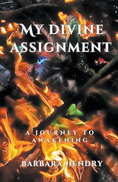 Produktbild: My Divine Assignment