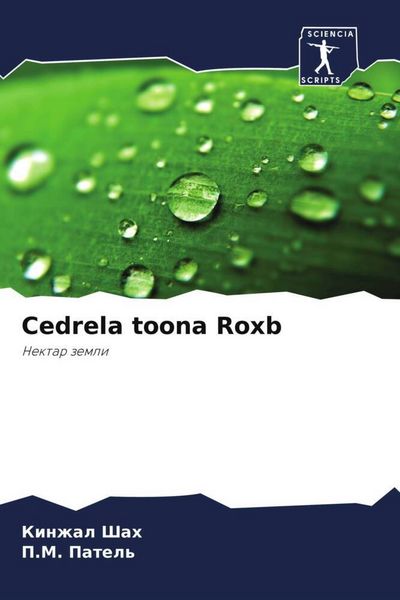 Produktbild: Cedrela toona Roxb