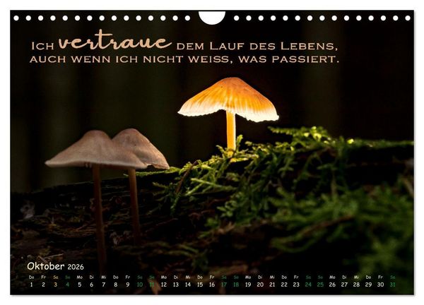 Produktbild: Weibliche Kraft - 12 Impulse zu deiner Wirksamkeit als Frau (Wandkalender 2026 DIN A4 quer), CALVENDO Monatskalender