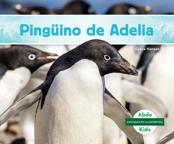 Produktbild: Pinguino de Adelia (Adelie Penguin)