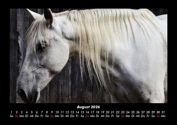 Produktbild: Pferde Kalender 2026 Fotokalender DIN A3