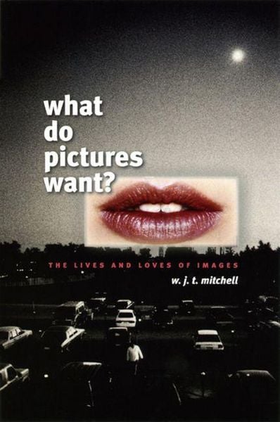 Produktbild: What Do Pictures Want?