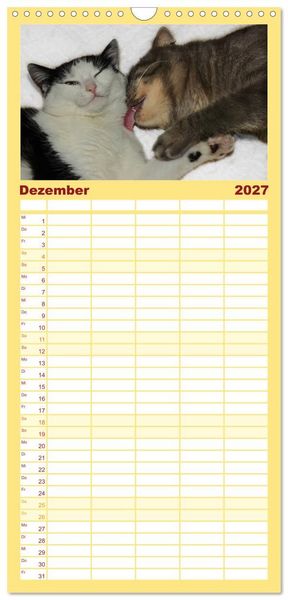 Produktbild: Familienplaner 2027 - Die Launen der Katzen 2027 mit 5 Spalten (Wandkalender, 21 x 45 cm) CALVENDO