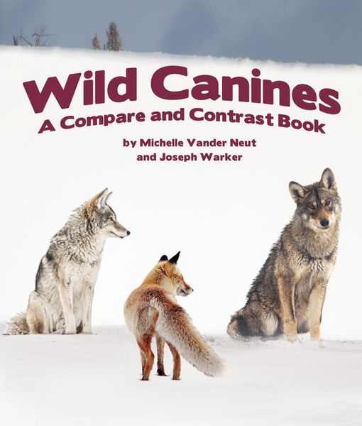 Produktbild: Wild Canines