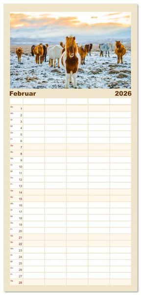 Produktbild: Familienplaner 2026 - Islandpferde - Die s&uuml;&szlig;en Pferde im Norden. mit 5 Spalten (Wandkalender, 21 x 45 cm) CALVENDO