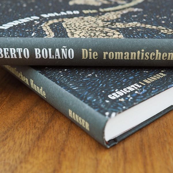 Produktbild: Die romantischen Hunde